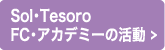 Sol･Tesoro FC･アカデミーの活動